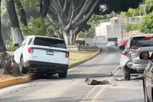 Conductor choca contra árbol en bulevar 5 de Mayo