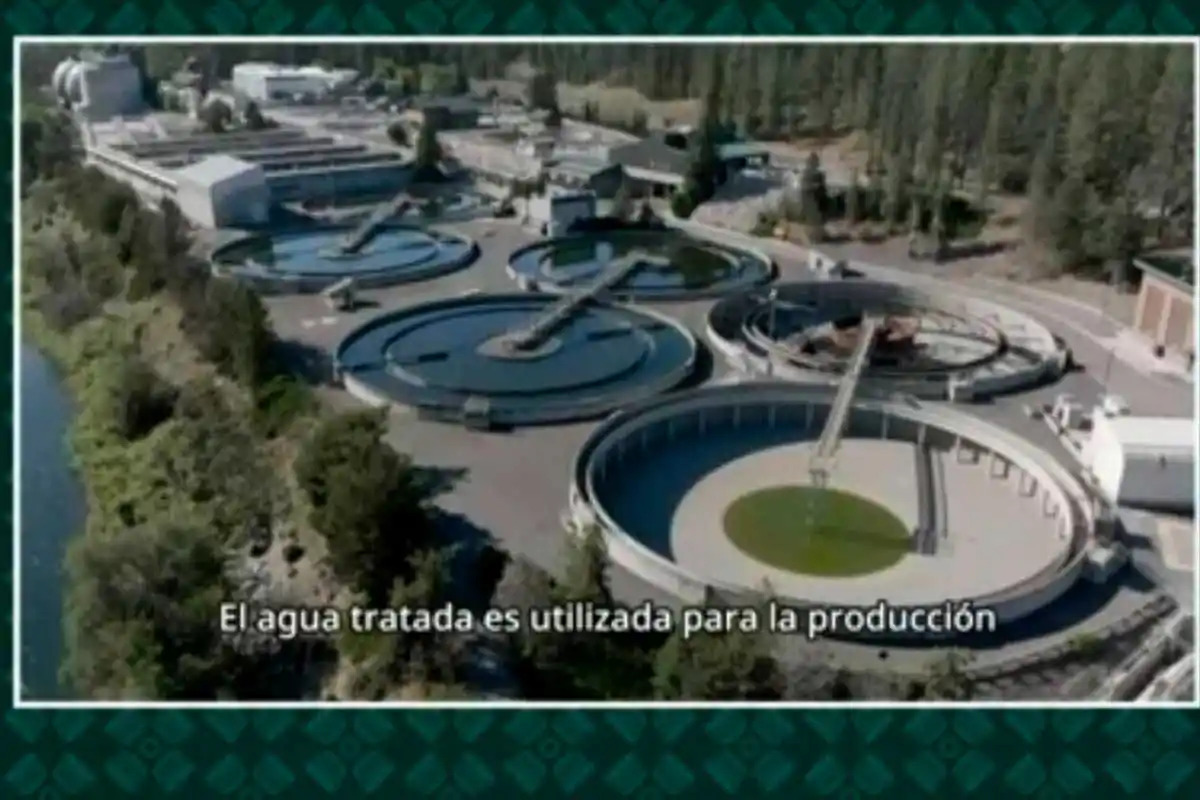 Polo de Economia Circular 2