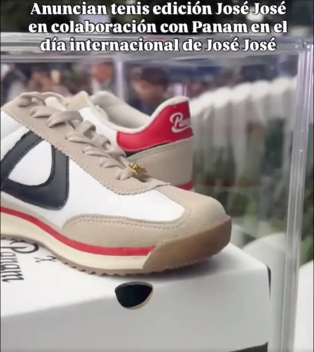 Lanzarán tenis Panam edición José José