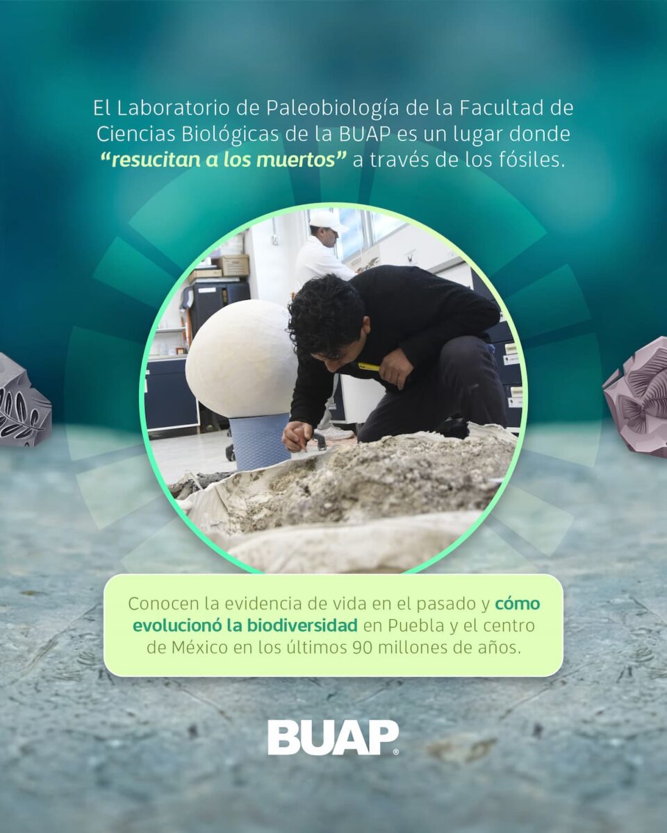 Laboratorio de Paleobiología de la BUAP, evidencia de vida del pasado para interpretar el presente y vislumbrar un futuro