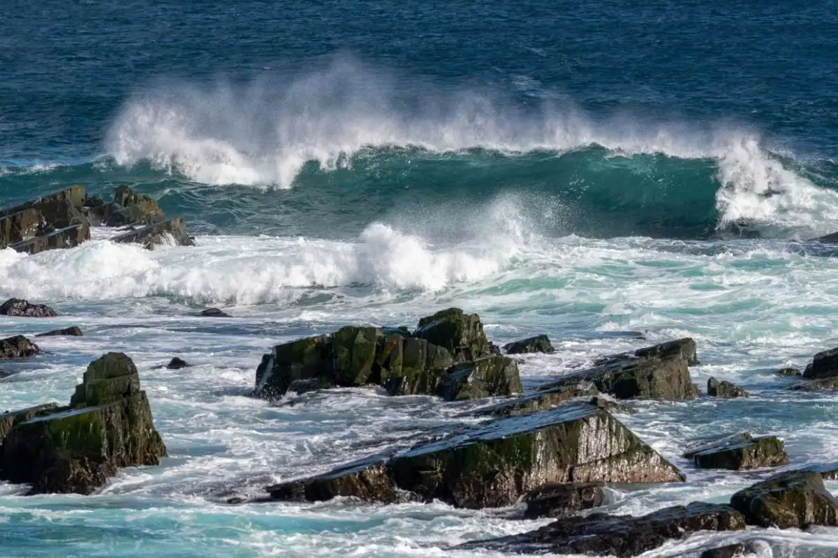 ¿Por qué está en peligro la corriente del Atlántico Norte?