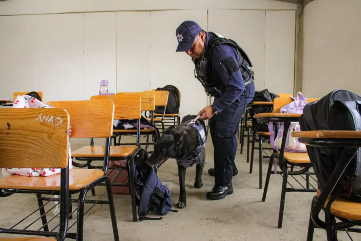 Buscan regular operativo mochila en escuelas de Puebla