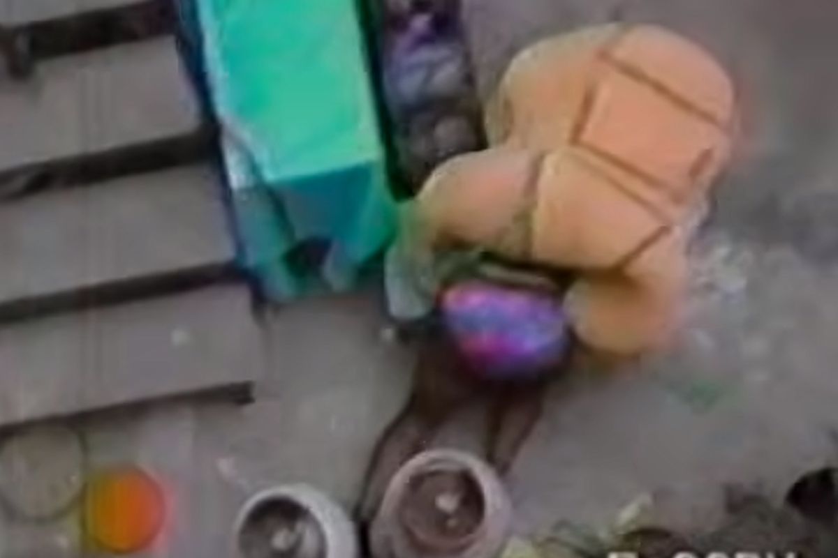 Video del cacahuatazo cumple 30 años y esta es su historia