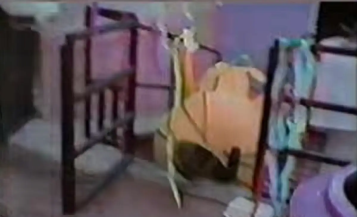 Video del cacahuatazo cumple 30 años y esta es su historia