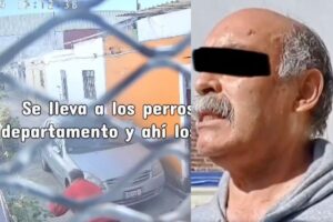 ¿Marilyn Cote eres tú? Denuncian a veterinario de Puebla por maltrato animal y falsificación de cédula profesional