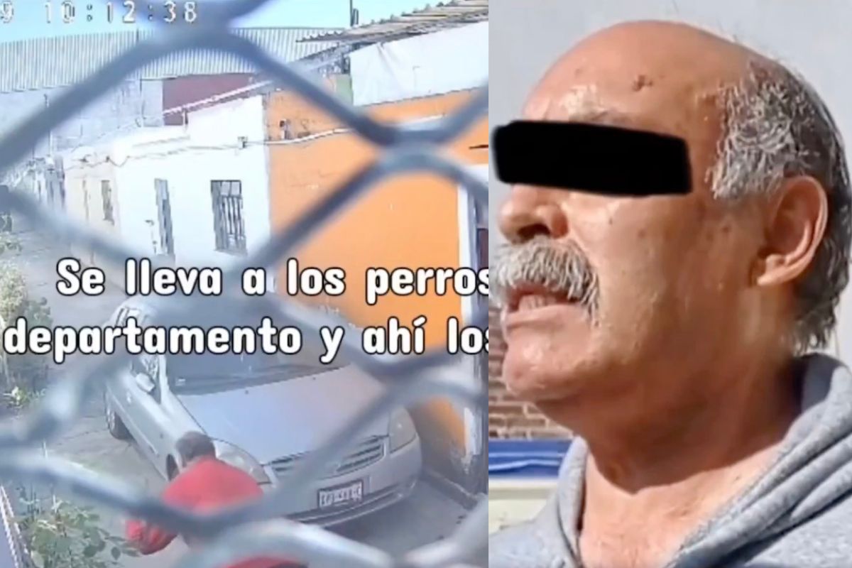 ¿Marilyn Cote eres tú? Denuncian a veterinario de Puebla por maltrato animal y falsificación de cédula profesional