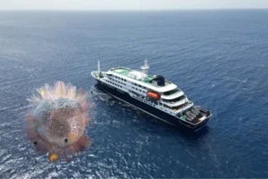 Crucero con hantavirus: detectan cepa que se contagia entre humanos