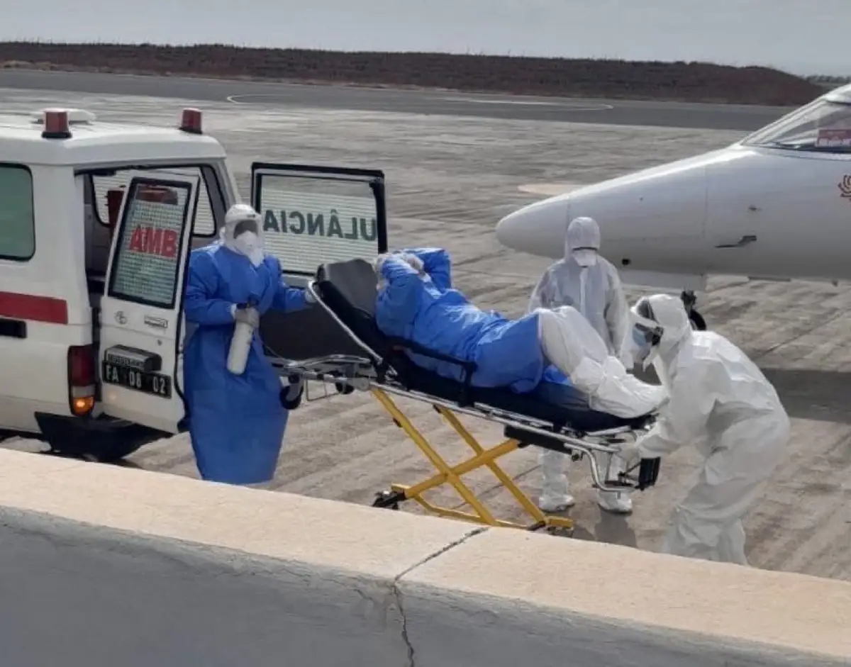 Crucero con hantavirus: detectan cepa que se contagia entre humanos