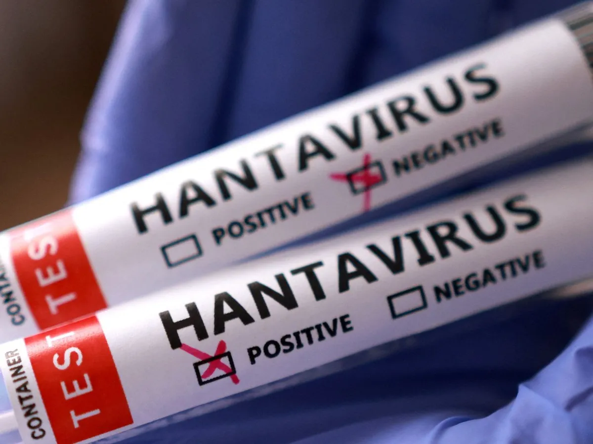 Hay vacuna contra el hantavirus