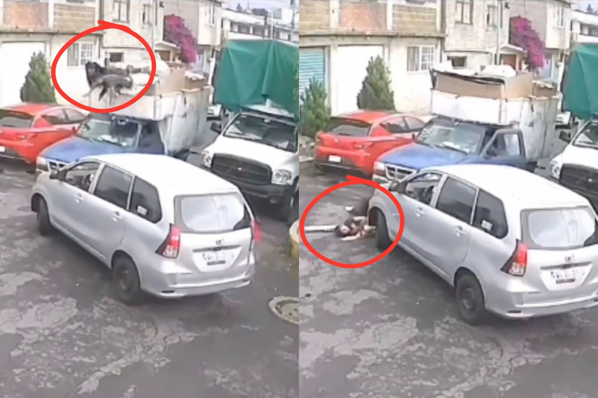 VIDEO: Niño de 12 años y su madre salen proyectados de camioneta tras choque en Tláhuac; responsable huyó