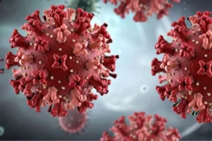 ¿Por qué hay aviso epidemiológico por hantavirus en México?
