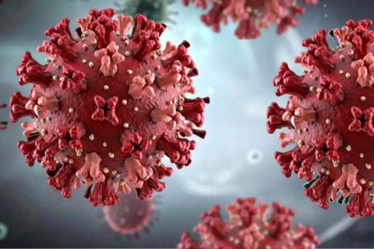 ¿Por qué hay aviso epidemiológico por hantavirus en México?