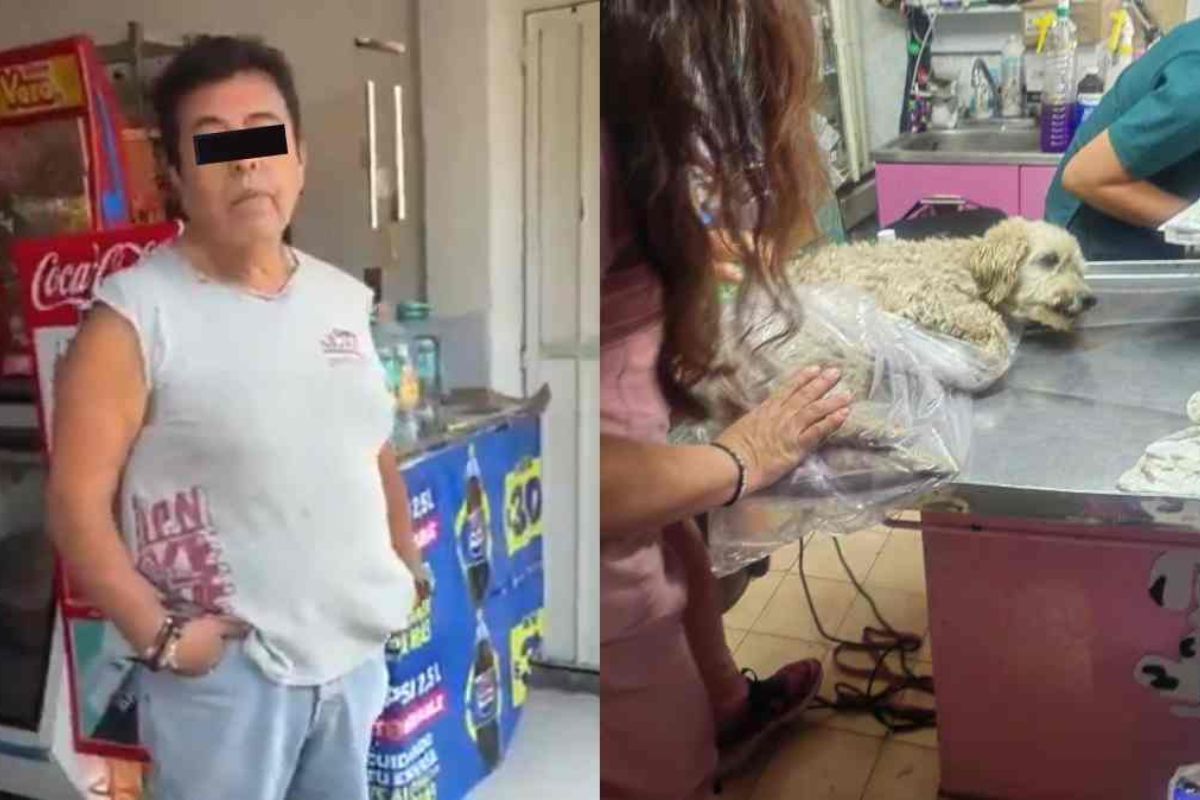 dueño de miscelánea Géminis también atropelló a un perro
