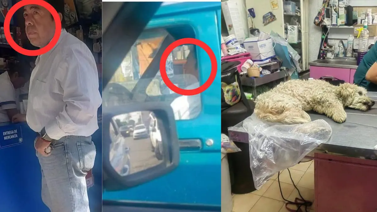 dueño de miscelánea Géminis también atropelló a un perro