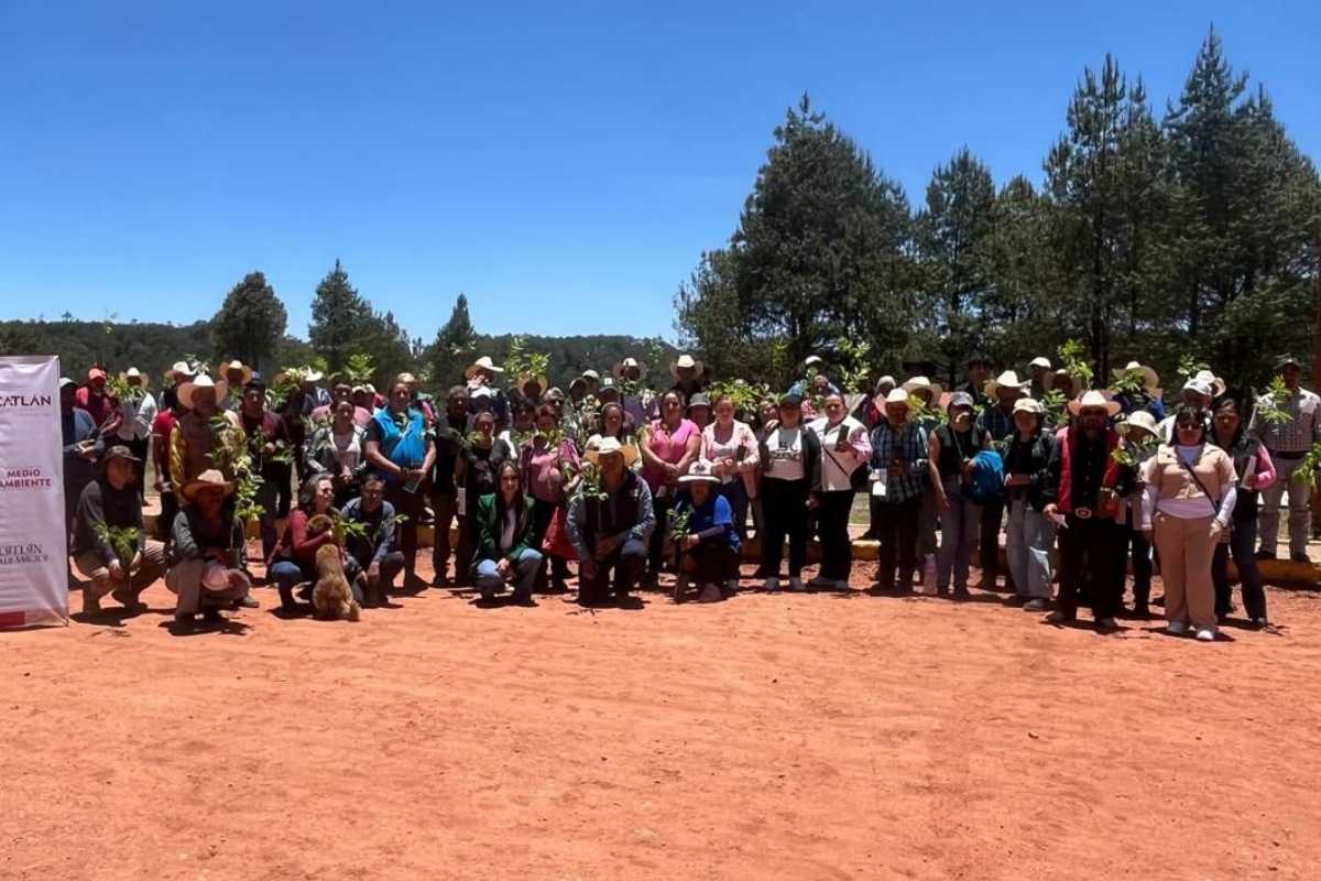 Ayuntamiento de Zacatlán capacita a ejidatarios para el control de plaga en árboles