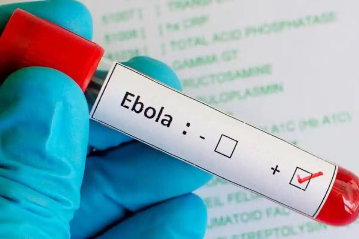México activa alerta por ébola y hantavirus; aún no hay casos