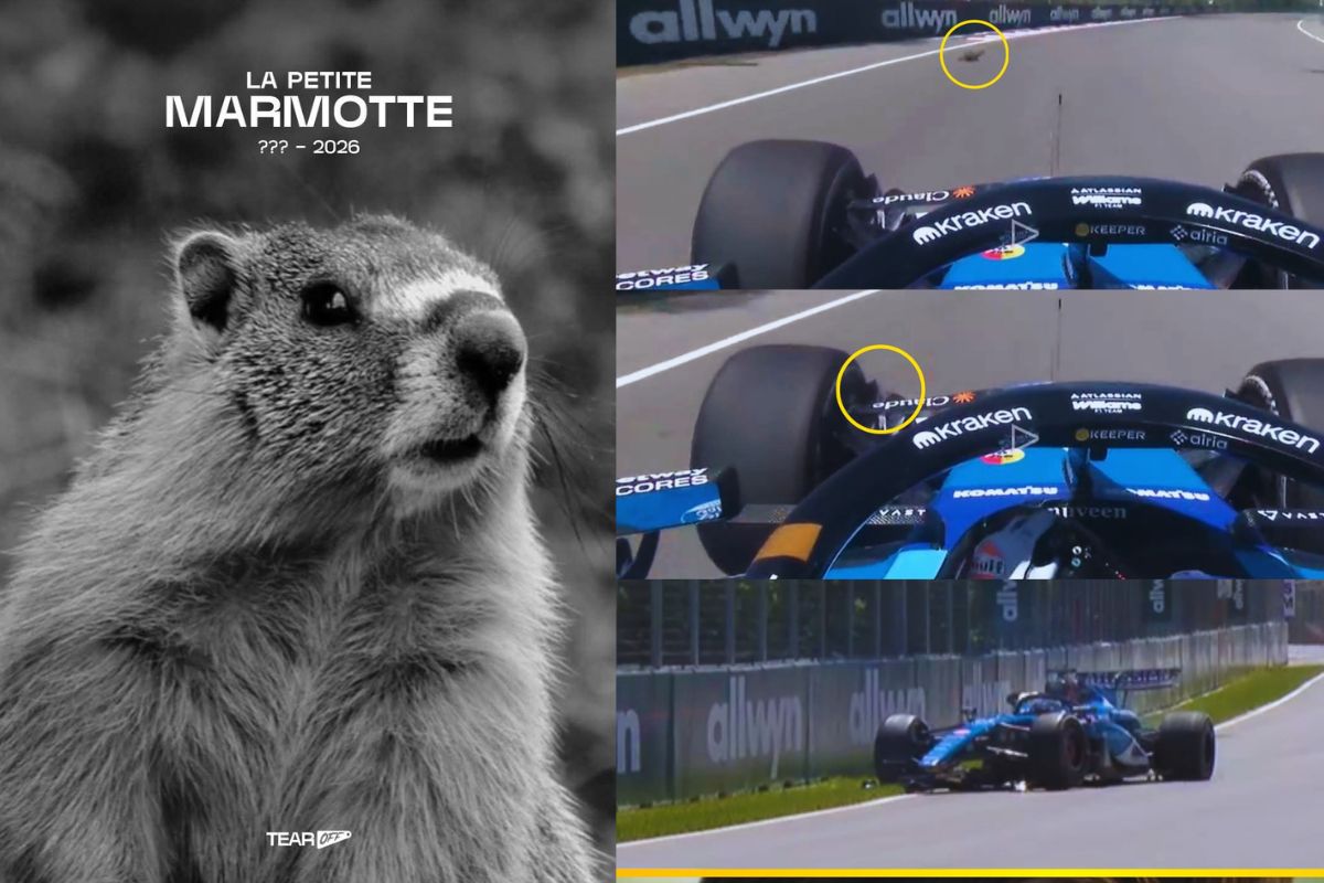 VIDEO: El brutal accidente de Alex Albon tras atropellar a la marmota de la Fórmula 1 en Canadá 4 El brutal accidente de Alex Albon tras atropellar a la marmota de la Fórmula 1 en Canadá