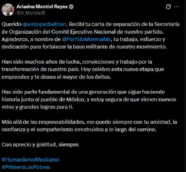 Andrés Manuel López Beltrán renuncia a su cargo en Morena