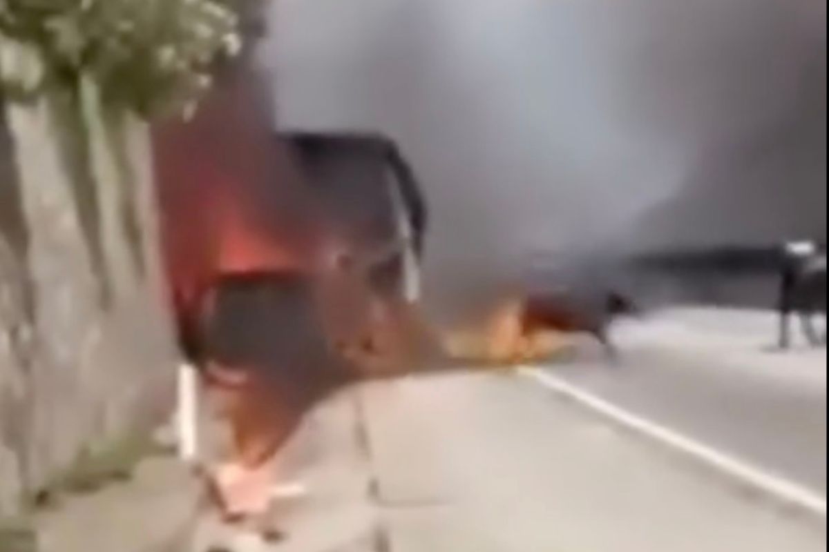 Tráiler cargado con ganado se incendia en el Arco Norte y varios becerros mueren calcinados