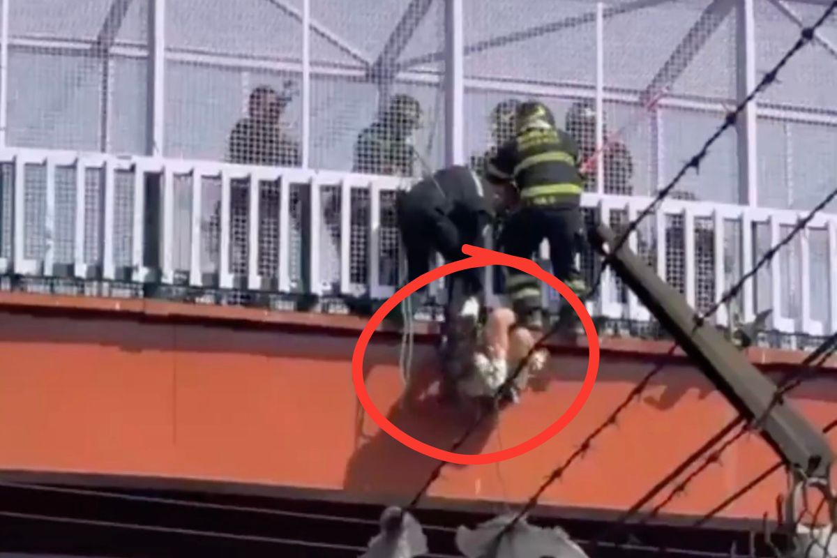 VIDEO: Mujer se arroja de un puente a las vías del Metro en la CDMX y sobrevive 2 Mujer se arroja de un puente a las vias del Metro en la CDMX 2