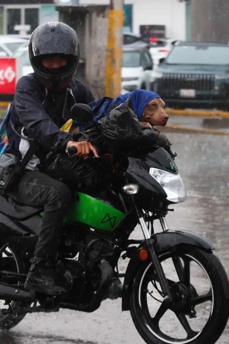 clima en Puebla hoy jueves 28 de mayo