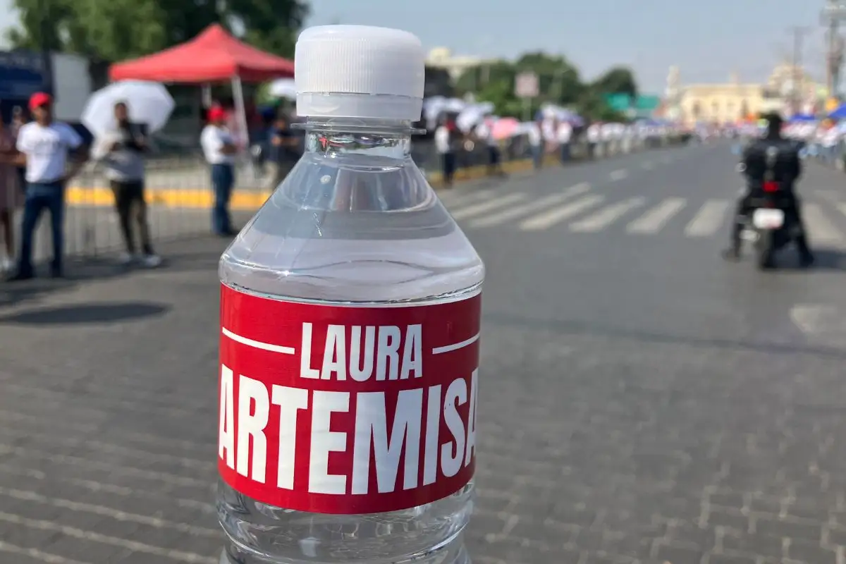 IEE recibe deslinde de Laura Artemisa por promoción