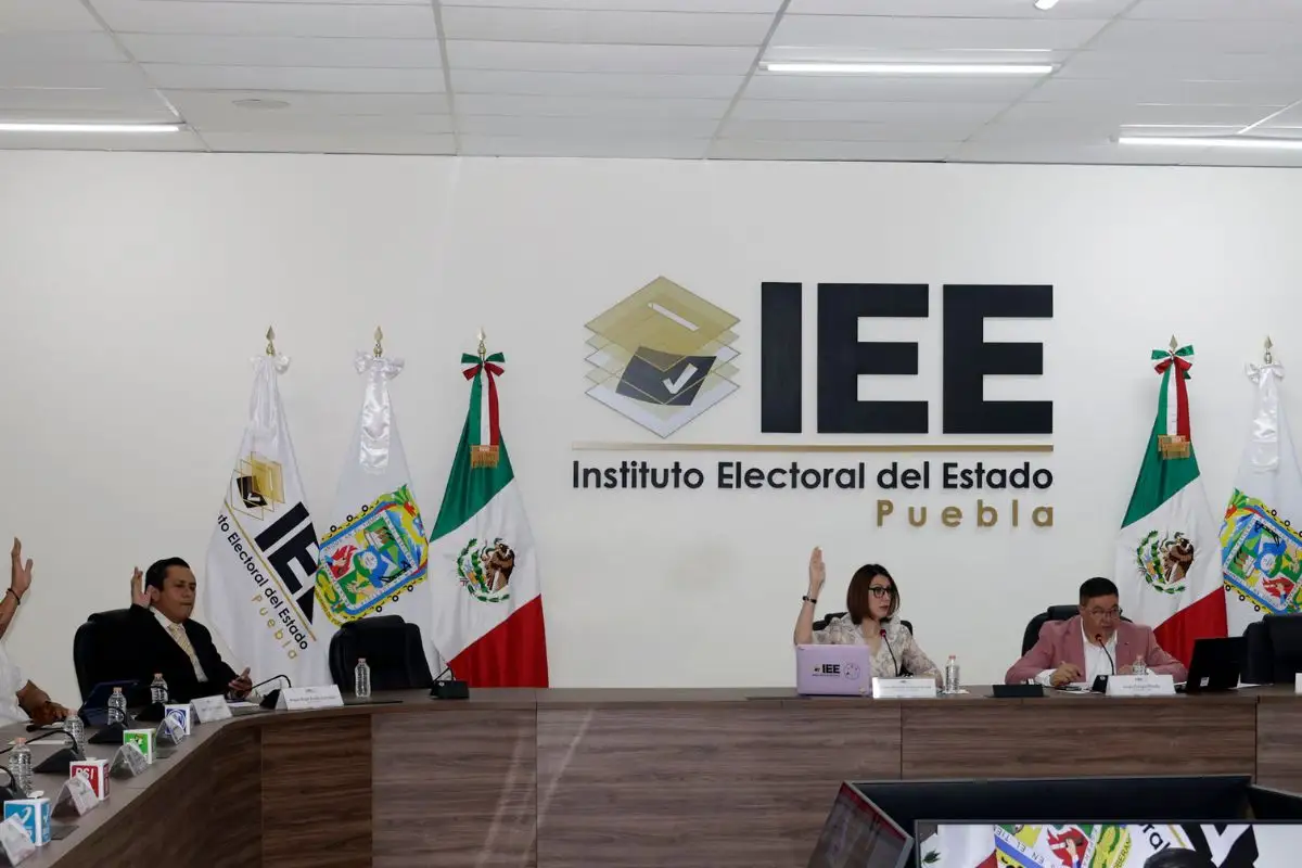 IEE recibe deslinde de Laura Artemisa por promoción