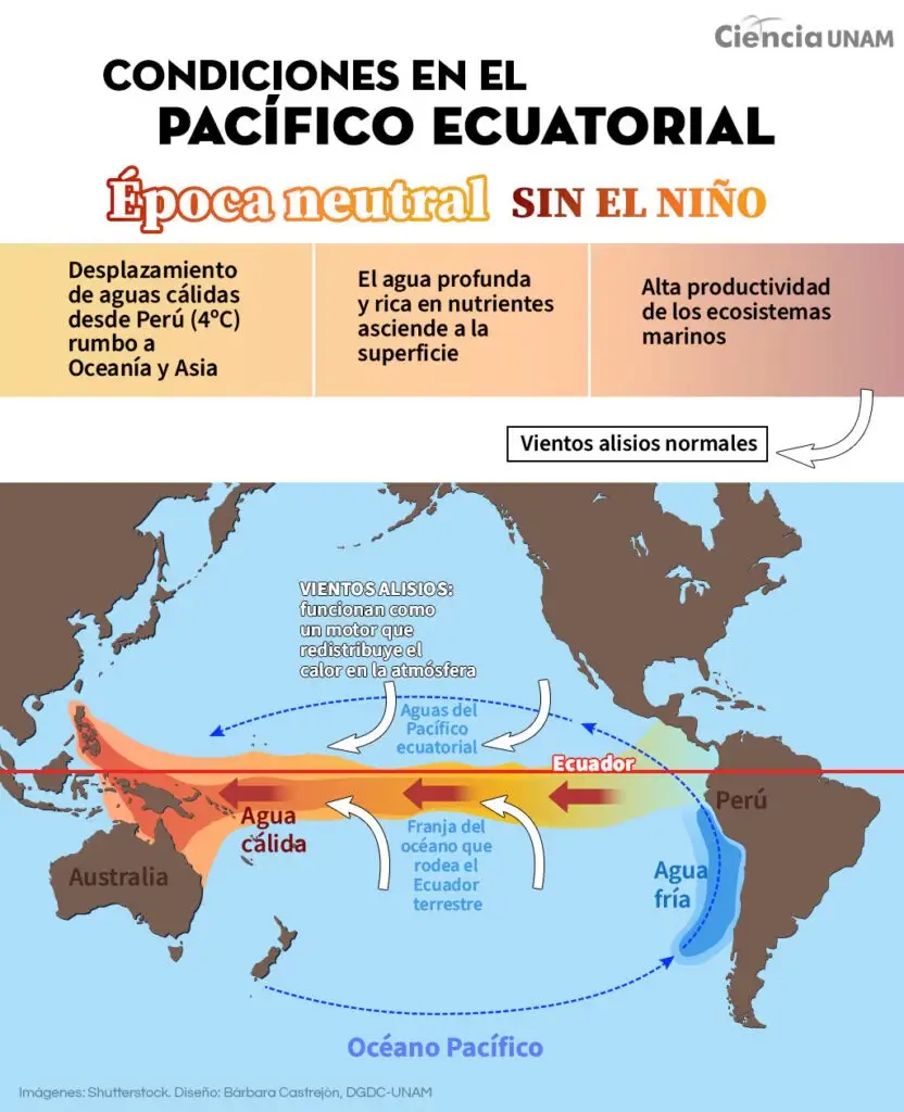 ¿Qué es el Niño Godzilla? Esto dicen expertos de la UNAM