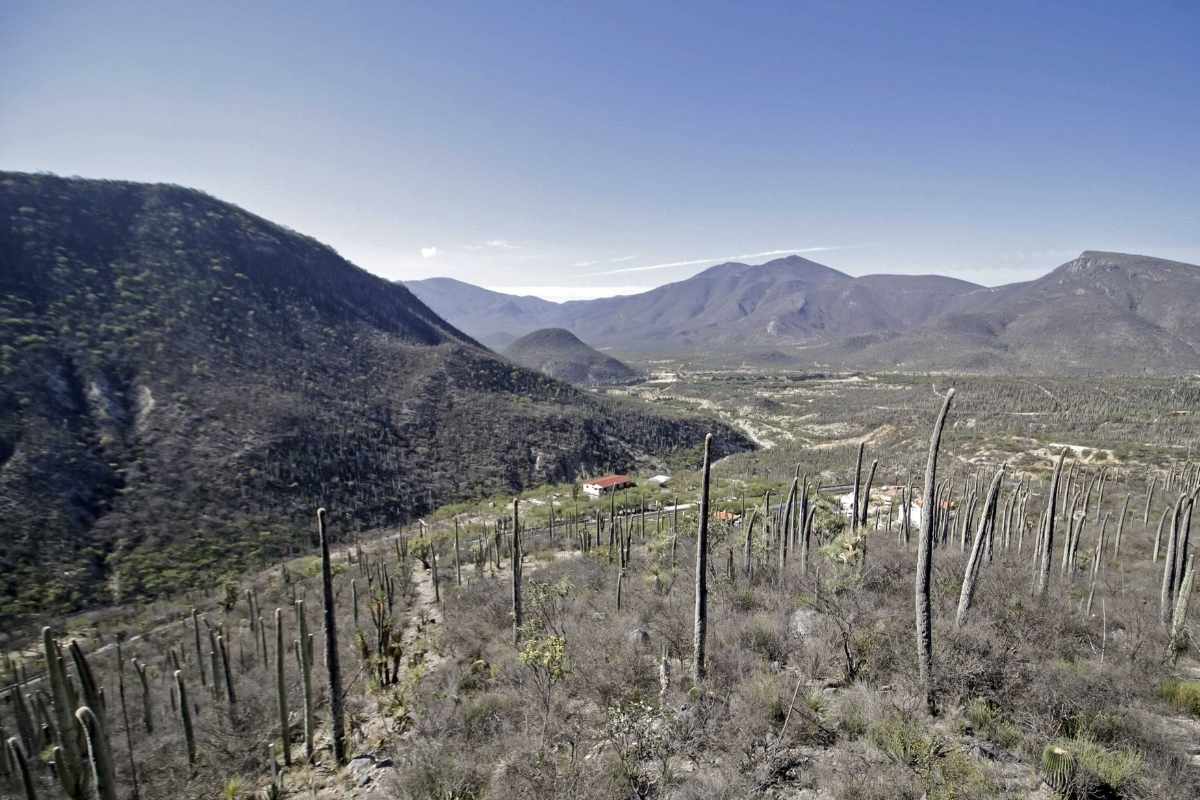 Rutas turísticas mundialistas en Puebla