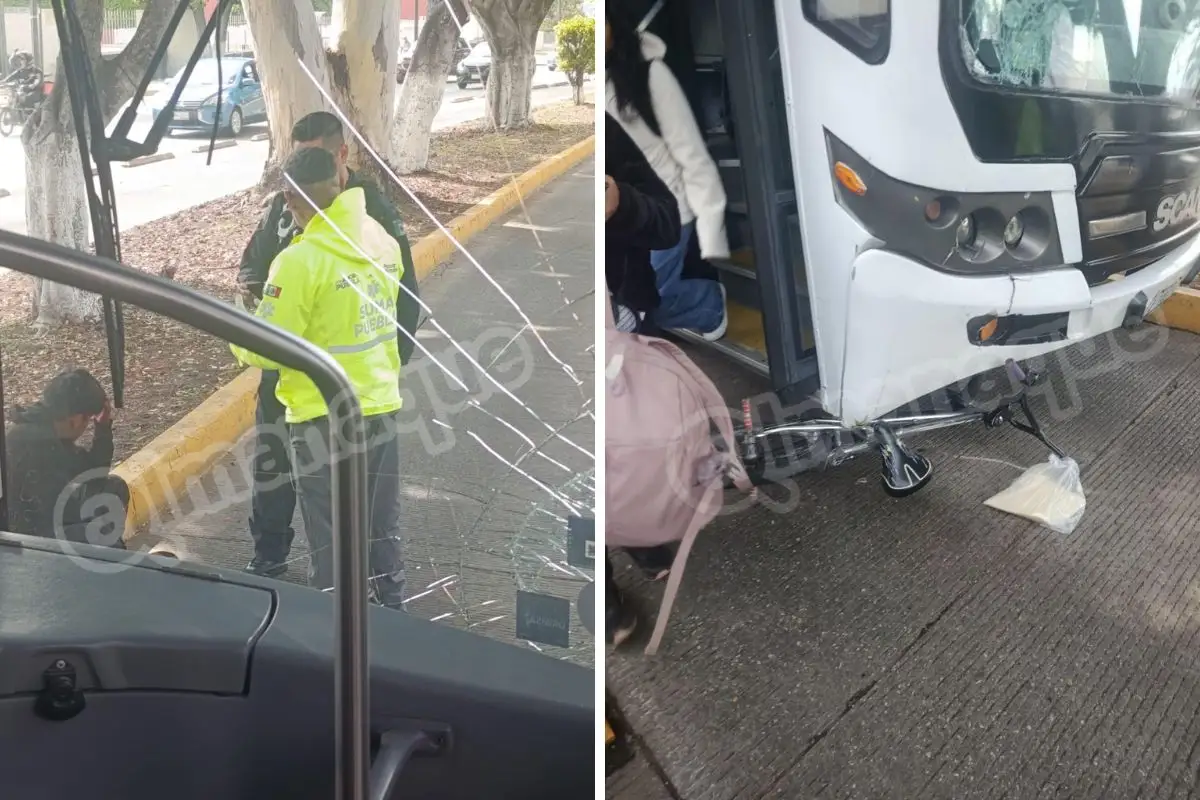 RUTA atropelló a ciclista que invadió el carril confinado