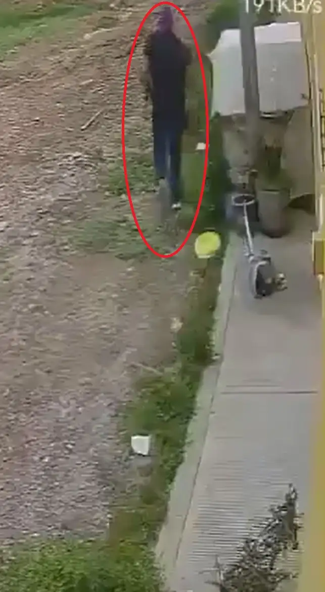 Sujeto abandona a perro afuera de refugio en Puebla