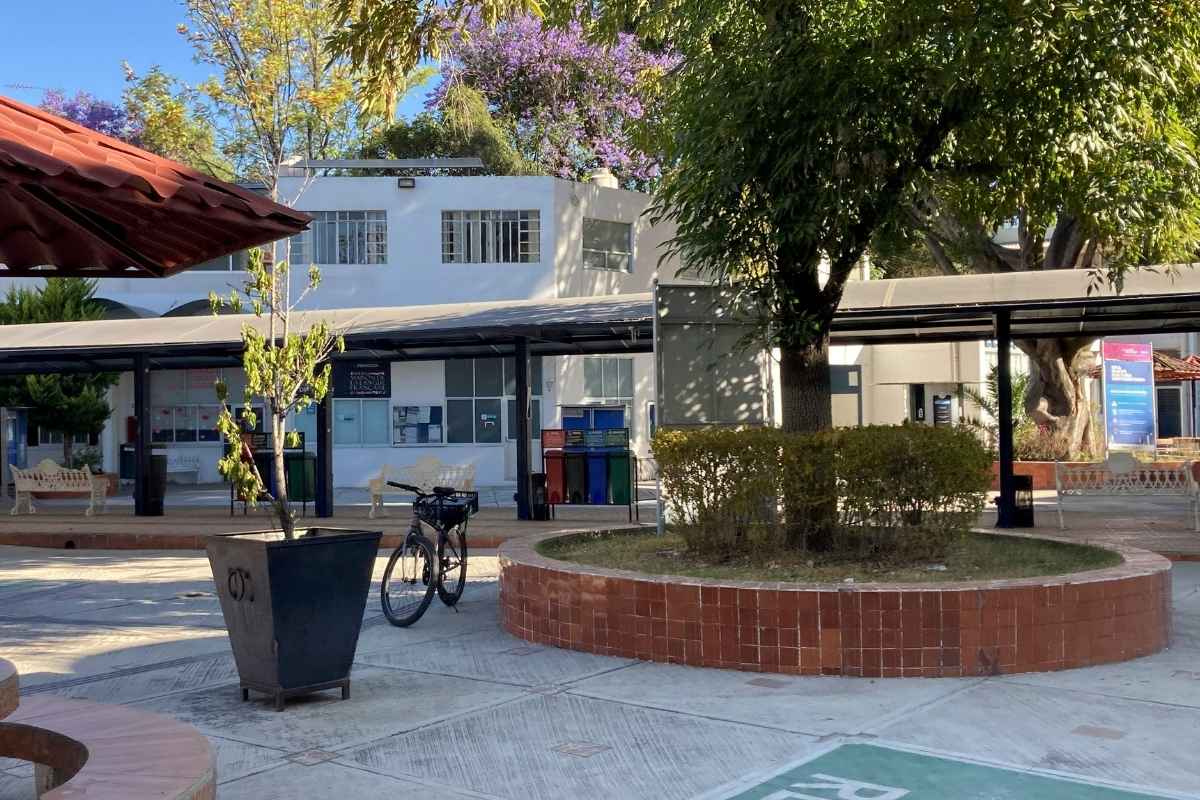 Cursos de idiomas en Puebla