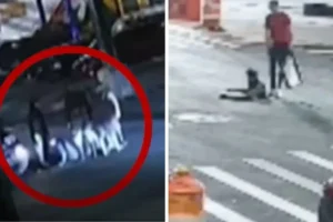 Investigan a hombres saliendo de alcantarillas en Nueva York