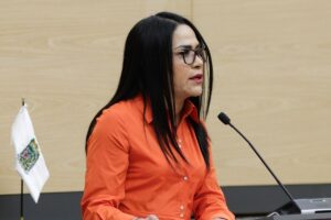 anular elecciones por asesinato de candidatos en Puebla 0