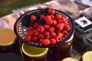 Esta fecha inicia la Ruta de las Berries en Huejotzingo