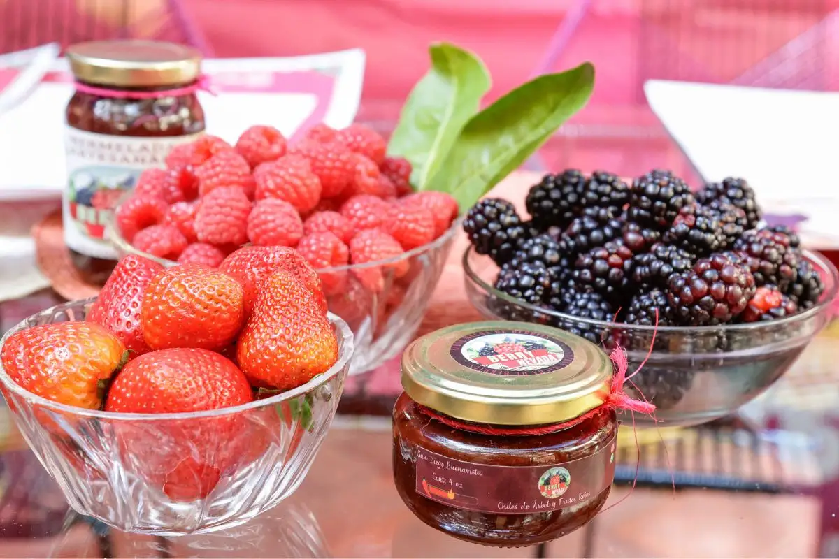 Esta fecha inicia la Ruta de las Berries en Huejotzingo