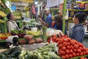 inflación en Puebla (2)