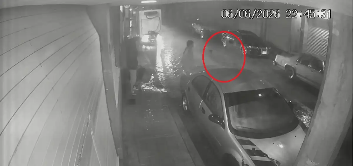 (VIDEO) Funcionario de Acatlán golpeó a una pareja