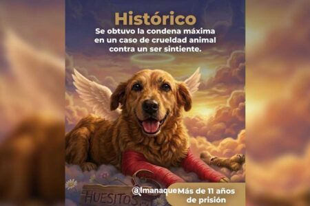 condena histórica por crueldad animal