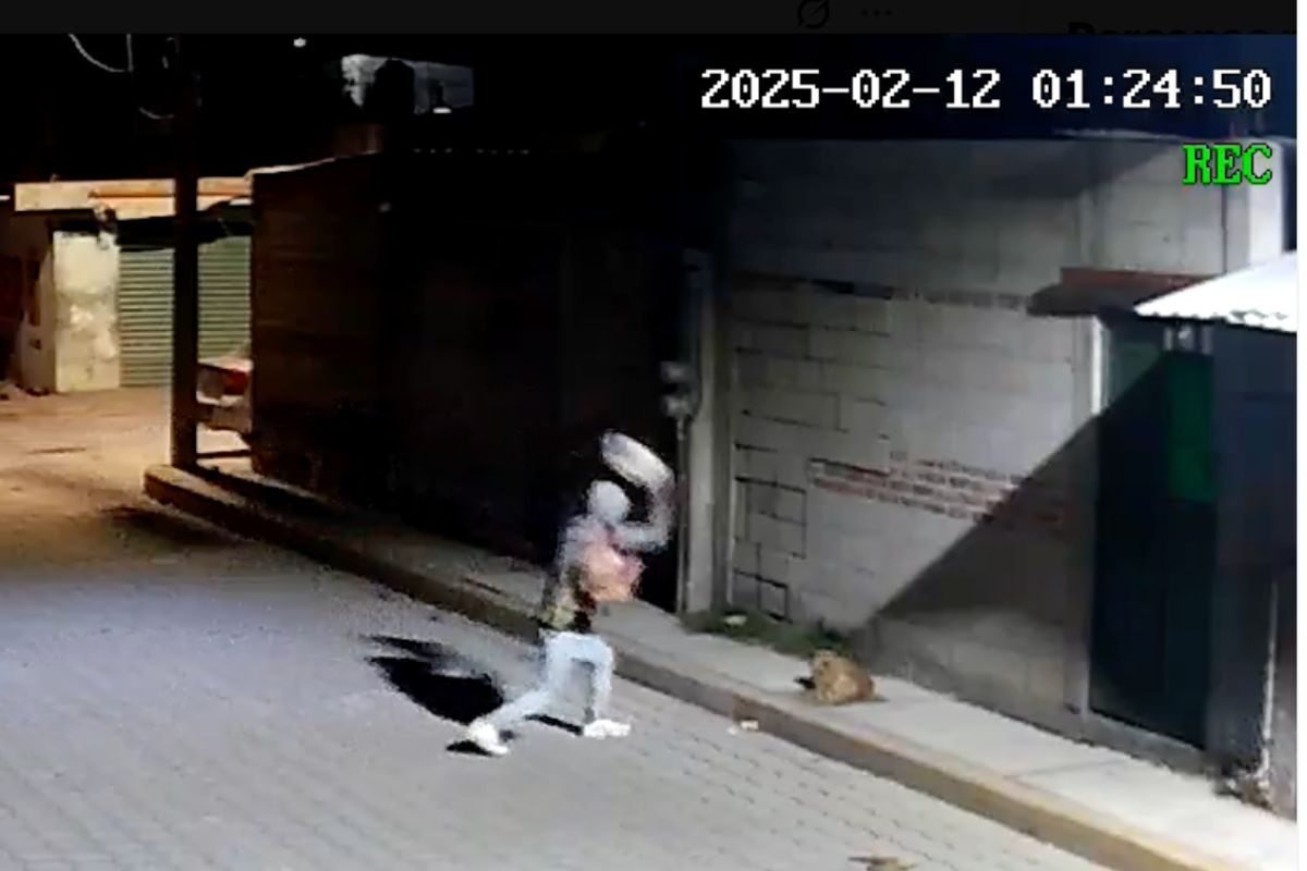 condena histórica por crueldad animal