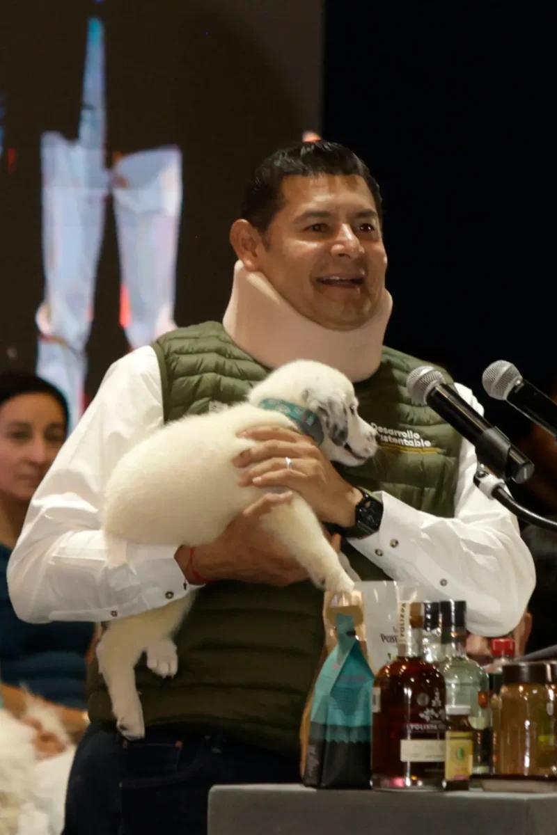 Por qué el gobernador de Puebla apareció con collarín