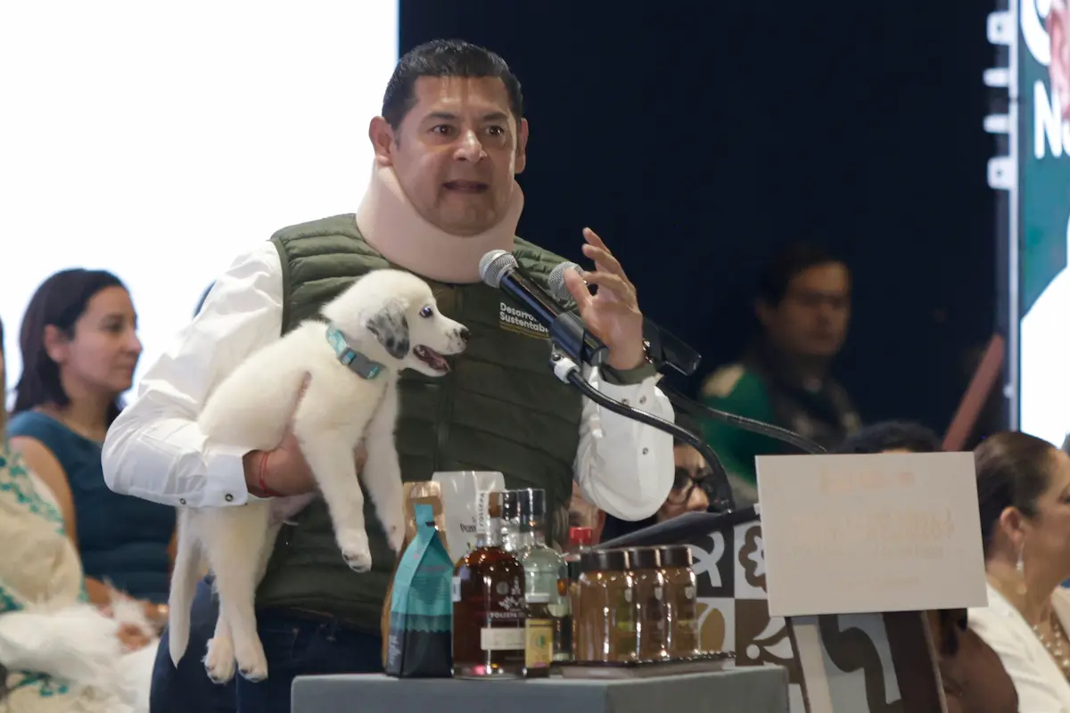 ¿Por qué el gobernador de Puebla apareció con collarín? Esta es la explicación 1 Por qué el gobernador de Puebla apareció con collarín