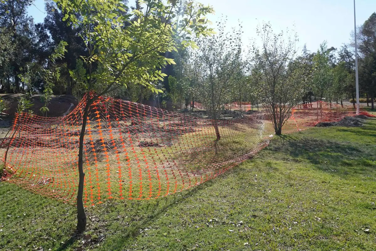 Inicia desincorporación de predios para el Sistema de Transporte por Cable