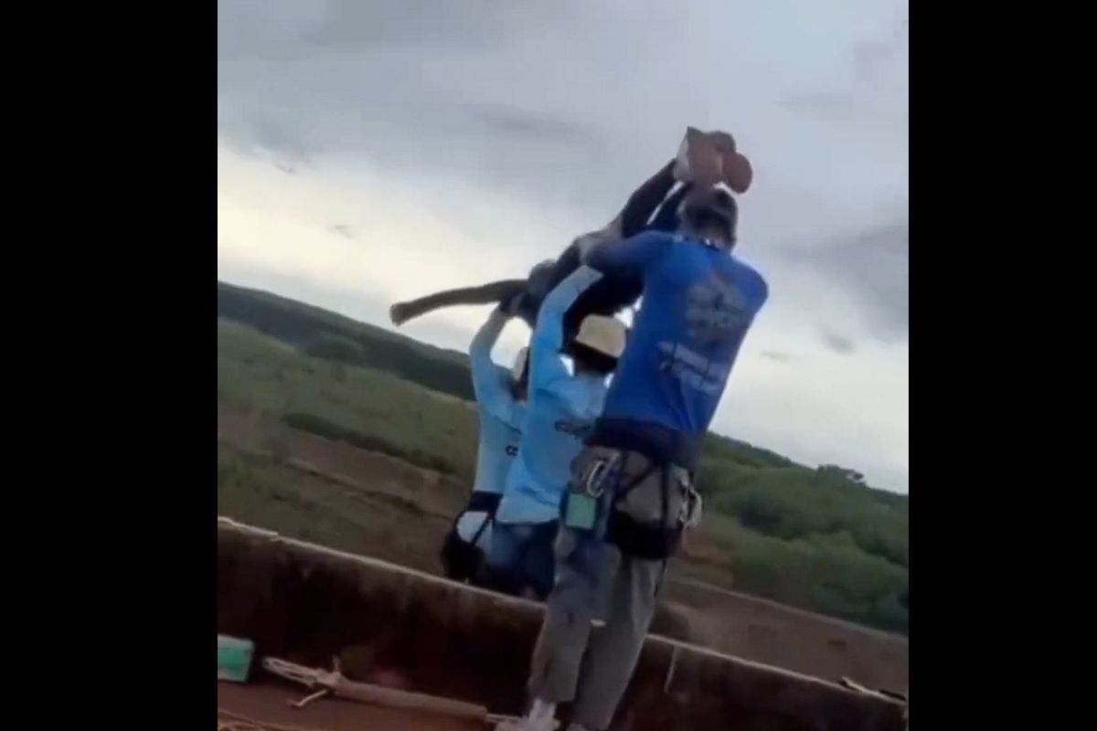 Puente del Esqueleto en Limeira, Brasil, donde ocurrió el accidente de bungee | Foto: Cortesía