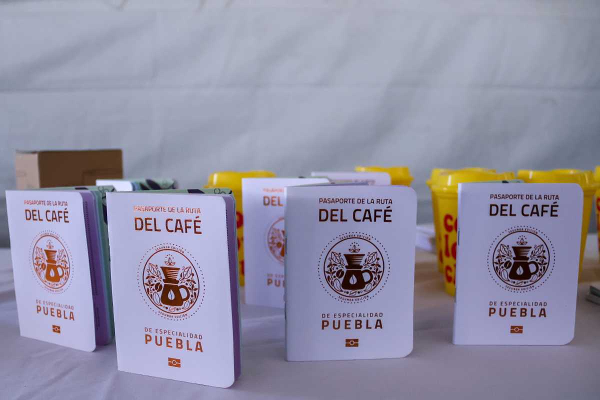 Caficultores de la Sierra Norte durante la cosecha del café de Puebla | Foto: Archivo