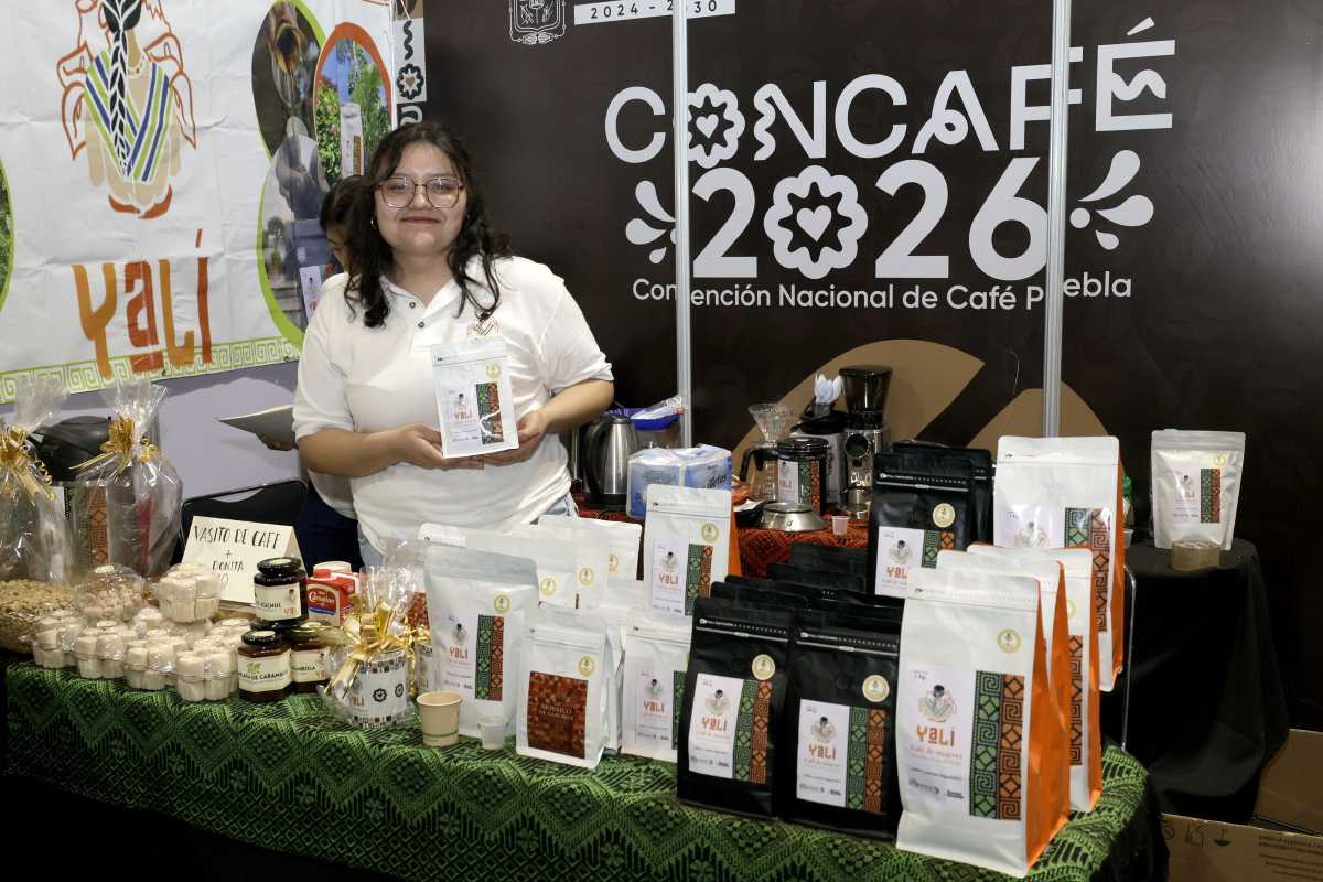 Variedades de café de especialidad cultivadas en las fincas poblanas | Foto: Archivo