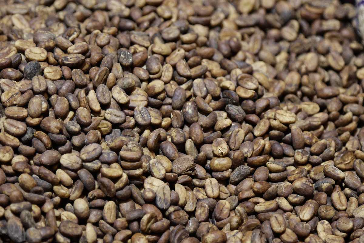 cafe de Puebla 5