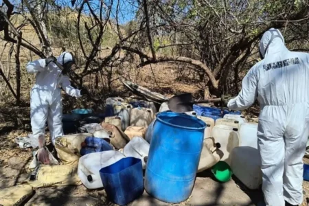 Decomisan narcolaboratorio en Sierra Norte de Puebla
