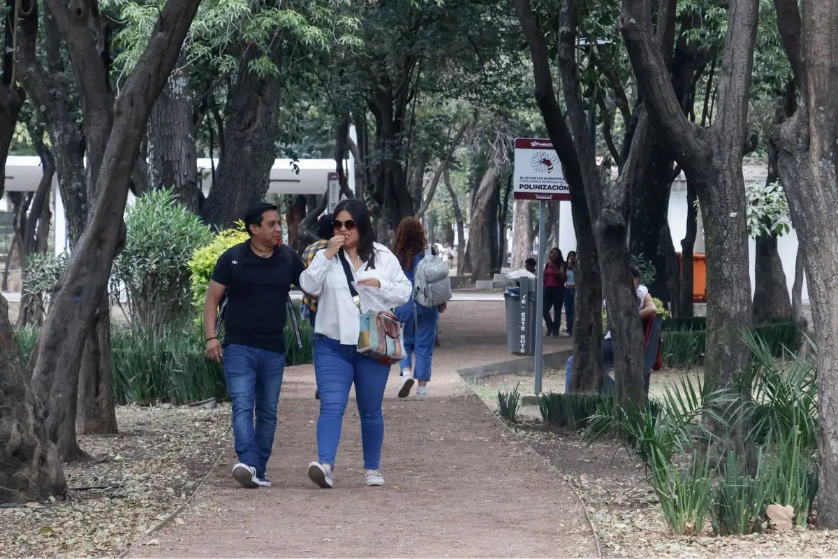 Diputado del PT celebra proyecto turístico en Valsequillo de Armenta: “El sur de la ciudad HOY es visible” 3 Diputado del PT celebra proyecto turístico en Valsequillo