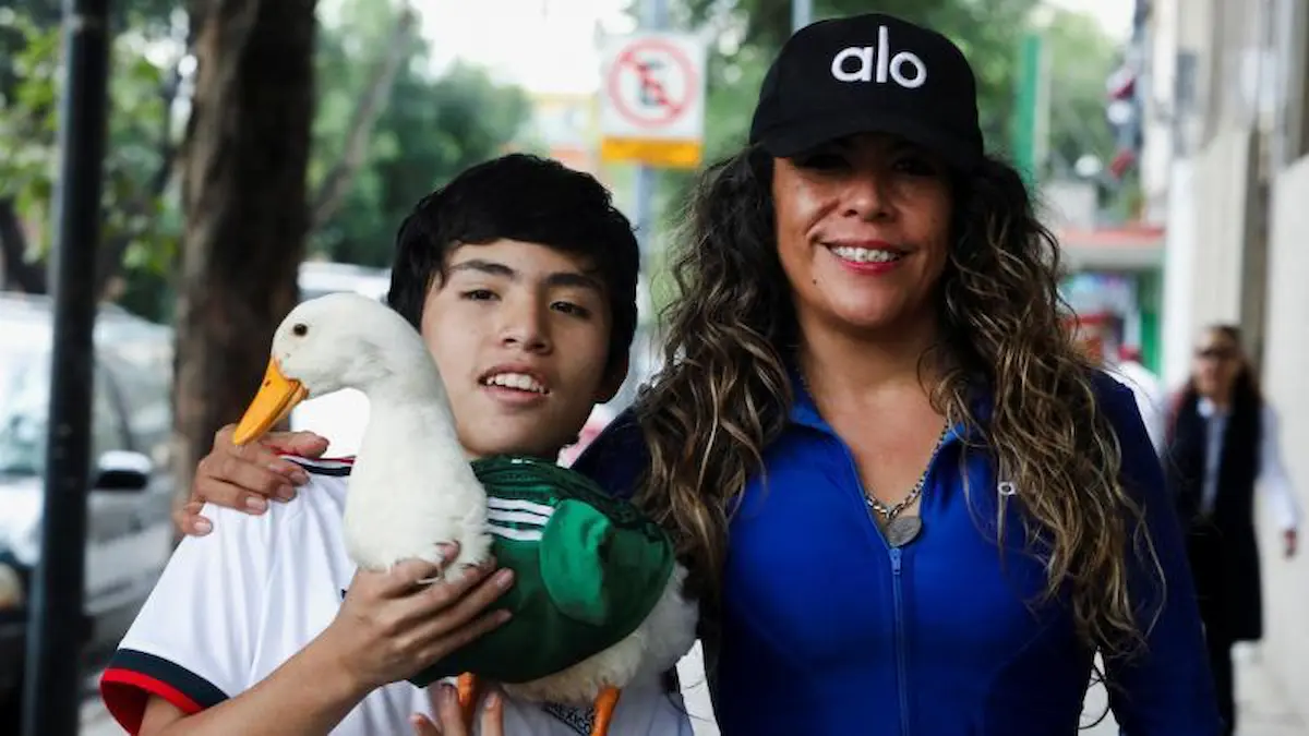 Sheinbaum invitará al pato Merlín a la mañanera